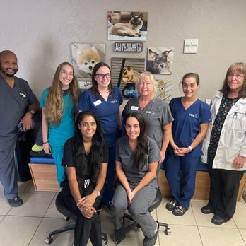 VCA Ormond Beach Animal Hospital - Veterinarians Near Me - Ormond Beach, Florida VCA Ormond Beach Animal Hospital - Veterinarians Near Me - Ormond Beach, Florida