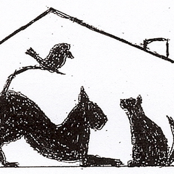 Pet Care Plus