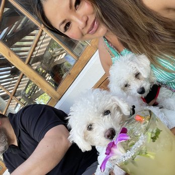 Cocina Hermanas - It's my twins first Taco Tuesday ! - Mexican Near Me - Danville, California Cocina Hermanas - It's my twins first Taco Tuesday ! - Mexican Near Me - Danville, California