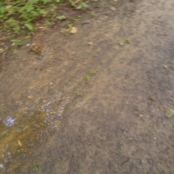 Cobbs Creek Community Environmental Education Center