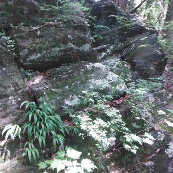 Rendevous State Forest - Rendevous State Forest - Hiking Near Me - Purlear, North Carolina