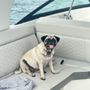 Salty Sandbars Key West