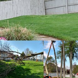 Branching Out - Before/After