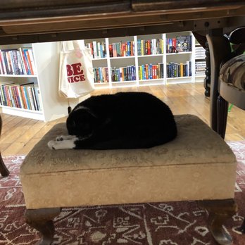 MacIntosh Books + Paper - Bookstore cat! - Bookstores Near Me - Sanibel, Florida