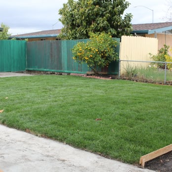 Ross Gardening Services - Ta-Dah!!  Beautiful.  I'm very happy with this sod job. - Landscaping Near Me