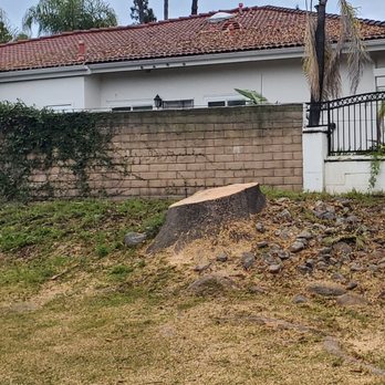 Reynaldo Landscape Inc. - On day two, this is the final result as had been contracted. If I had wanted, the crew could have also ground the stump down too. - Landscaping Near Me - La Habra, California Reynaldo Landscape Inc. - On day two, this is the final result as had been contracted. If I had wanted, the crew could have also ground the stump down too. - Landscaping Near Me - La Habra, California