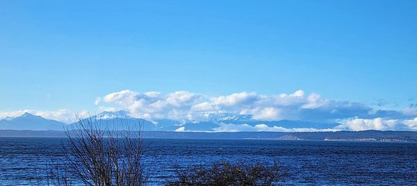 Carkeek Park by null