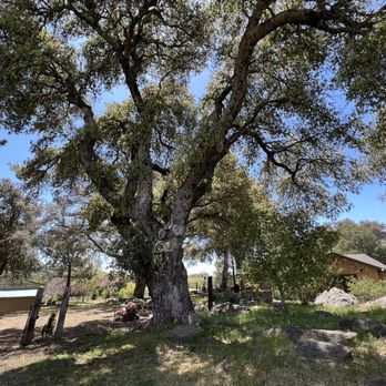 Full Moon Farm - Vacation Rentals Near Me - Julian, California