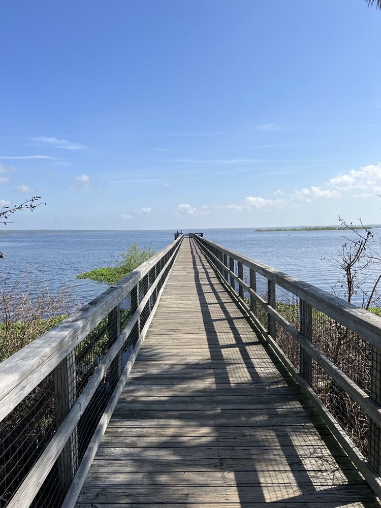PAYNES PRAIRIE ECOPASSAGE OBSERVATION BOARDWALK Updated August 2024