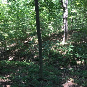 Monkey Mountain Nature Preserve - Hiking Near Me - Oak Grove, Missouri