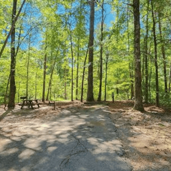 Pickwick Landing State Park