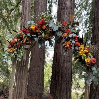Susi's Flowers - Floral arch for a wedding - Florists Near Me - Aptos, California Susi's Flowers - Floral arch for a wedding - Florists Near Me - Aptos, California