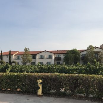 Ponte Vineyard Inn - Hotels Near Me - Temecula, California Ponte Vineyard Inn - Hotels Near Me - Temecula, California