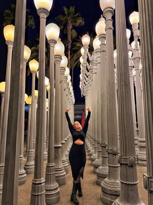 Public Art "Levitated Mass" by null