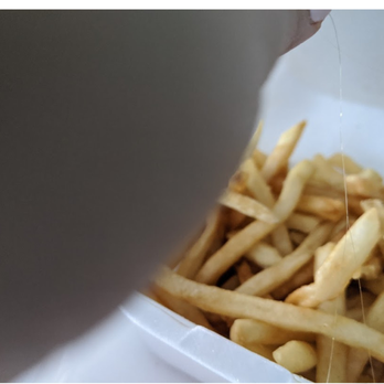 Crispy Chicken & Rice - french fries in a container - Mexican Near Me - Dallas, Texas Crispy Chicken & Rice - french fries in a container - Mexican Near Me - Dallas, Texas