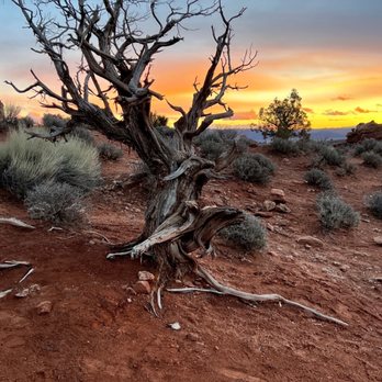 Arches National Park - Parks Near Me Arches National Park - Parks Near Me