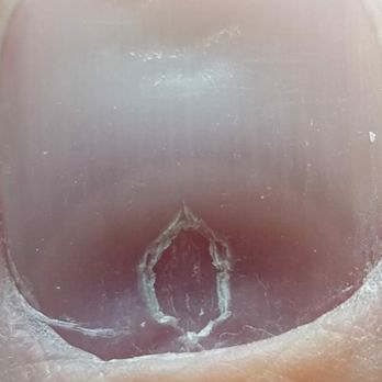 Lotus Nail Spa - Nail Salons Near Me - Missoula, Montana