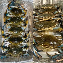 Ernies Crab House - Regular, Medium, Large, Extra Large, and Jumbo
