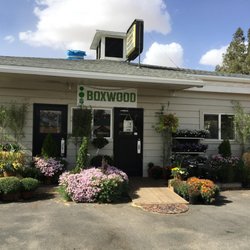 Boxwood Home and Garden - Boxwood