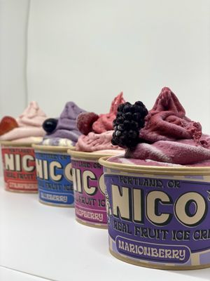 Nico’s Ice Cream by null