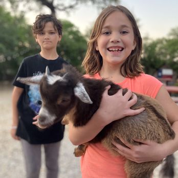The Divide - Farm animal time - Venues & Event Spaces Near Me - San Antonio, Texas The Divide - Farm animal time - Venues & Event Spaces Near Me - San Antonio, Texas