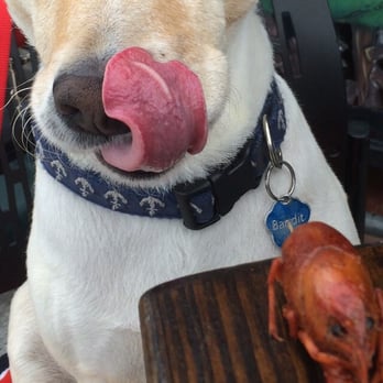 Guidry's Cajun Kitchen - Bandit loves him some Guidry's! - Cajun/Creole Near Me - Deer Park, Texas