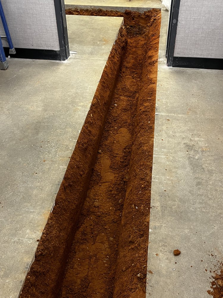 Slide of Arkansas Rooter