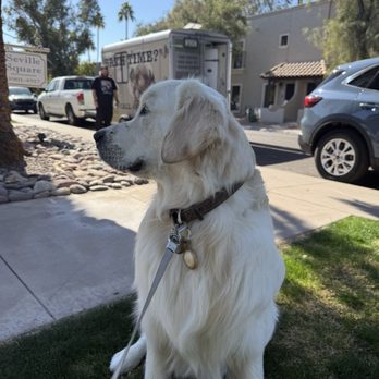 AZ Mobile Spaws - Stephen did an amazing job! - Pet Groomers Near Me - Phoenix, Arizona