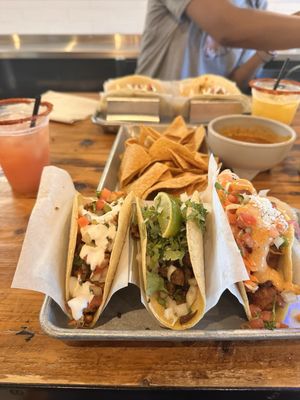 Mexican Cactus Taco Bar by null