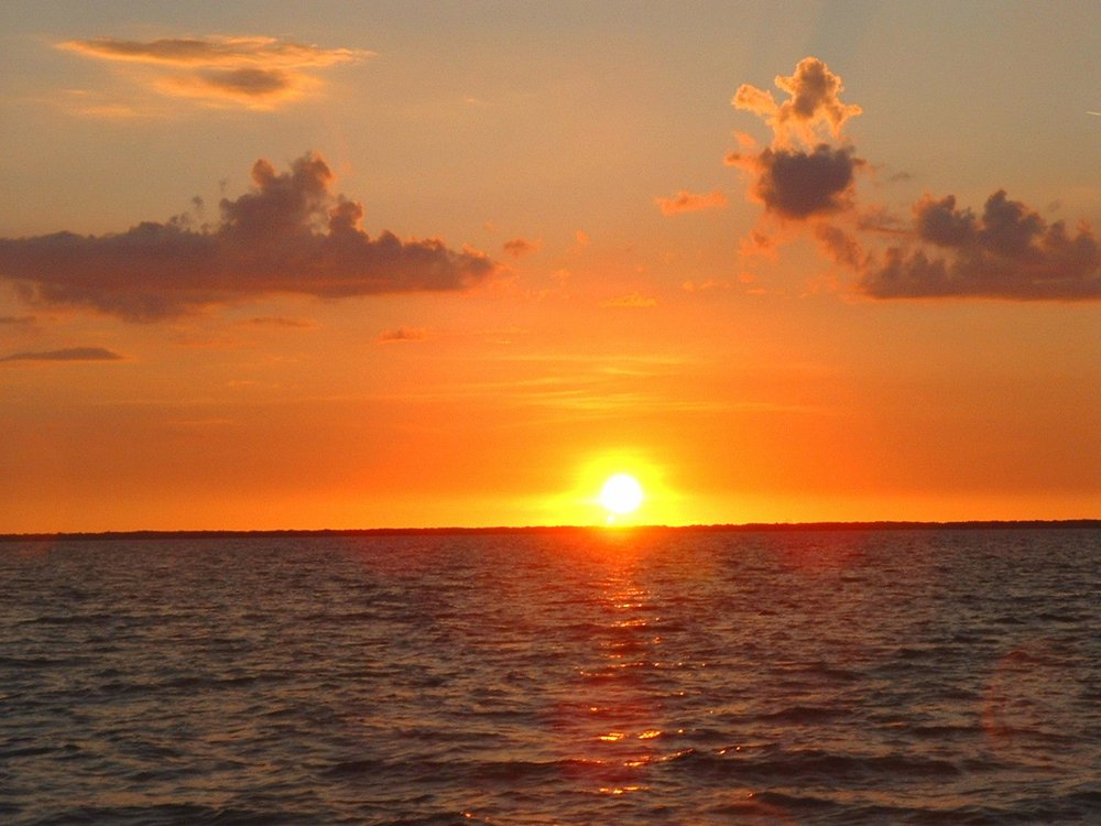 BOKEELIA WATER CHARTERS Updated March 2025 15 Photos Bokeelia