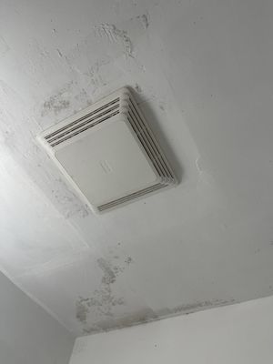 The Clarence Park by null