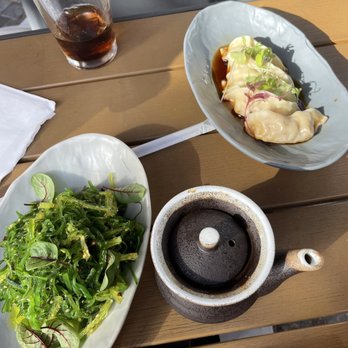 Kae Sushi - Pork Gyosas and Seaweed Salad - Sushi Bars Near Me - Coral Gables, Florida Kae Sushi - Pork Gyosas and Seaweed Salad - Sushi Bars Near Me - Coral Gables, Florida