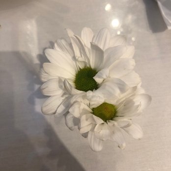 Bodrum Restaurant - Sweet little touches - Mediterranean Near Me - Venice, Florida Bodrum Restaurant - Sweet little touches - Mediterranean Near Me - Venice, Florida