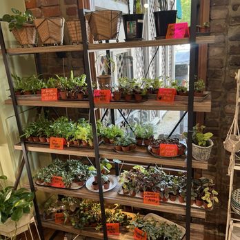 Yarrow Acres - Nurseries & Gardening Near Me - Franklin, Tennessee Yarrow Acres - Nurseries & Gardening Near Me - Franklin, Tennessee