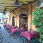 Photo of Lupo di Mare