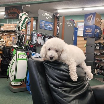 Eaton's Golf Shop - Golf Equipment Near Me - Long Beach, California Eaton's Golf Shop - Golf Equipment Near Me - Long Beach, California