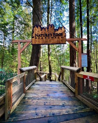 Capilano Suspension Bridge Park by null