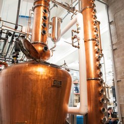 Compass - Tess the Still