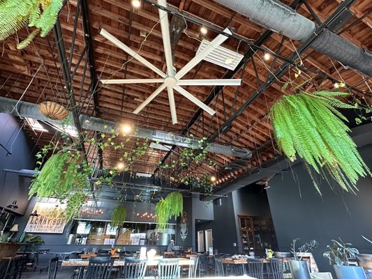 Lenny Boy Brewing Co. by null