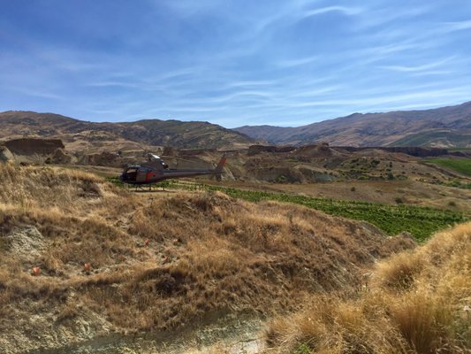 Felton Road Wines by null