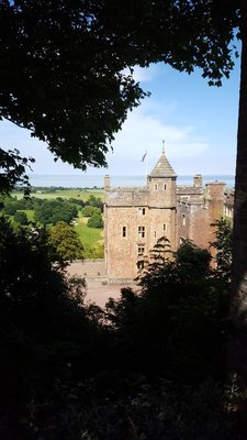 National Trust - Dunster Castle and Watermill by null