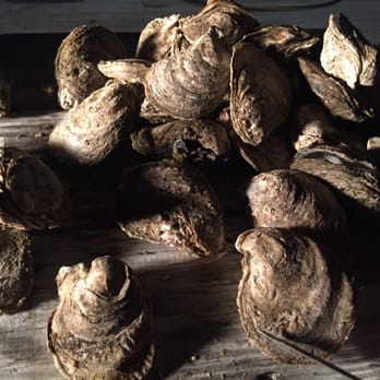 Frog Island Seafood - Fresh Steamed Oysters - Seafood Markets Near Me - Barco, North Carolina Frog Island Seafood - Fresh Steamed Oysters - Seafood Markets Near Me - Barco, North Carolina
