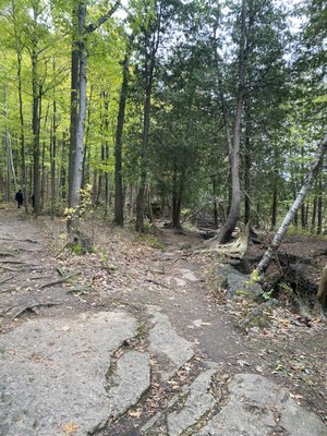 Kelso Conservation Area by null