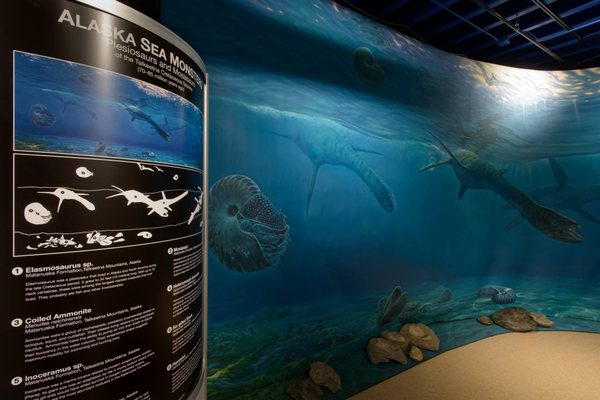 Alaska Museum of Science and Nature by null