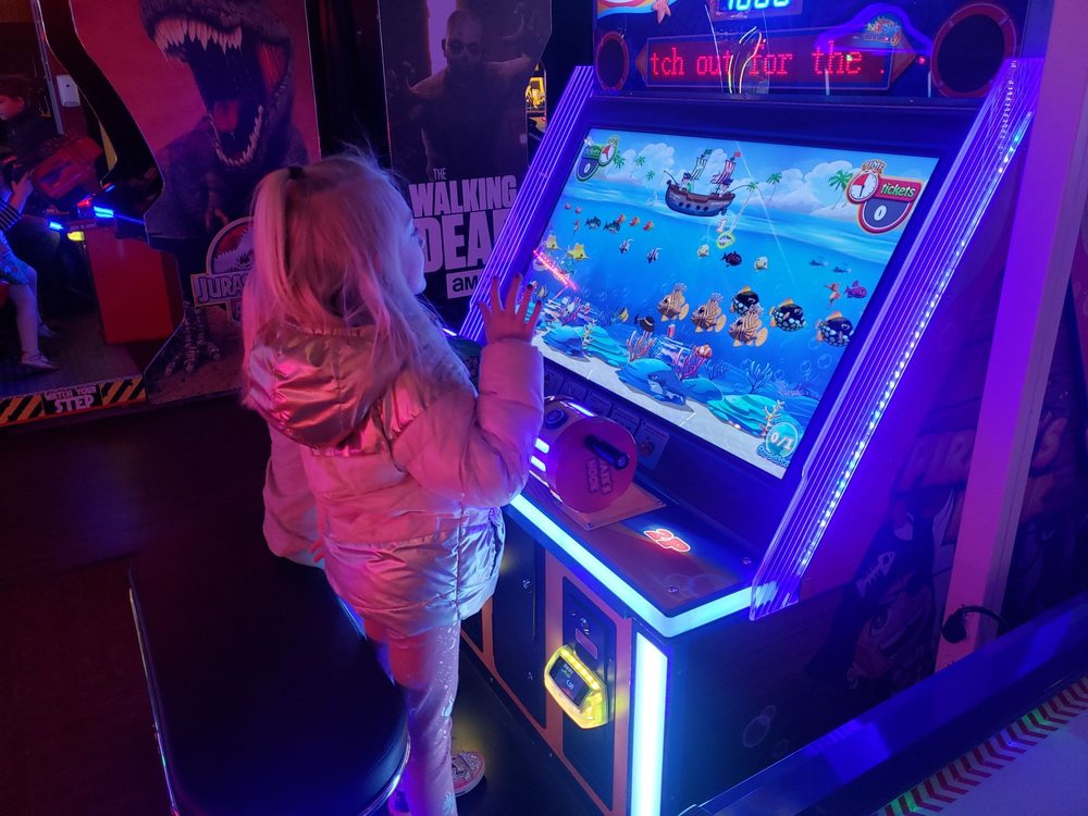 DOGWOOD SOCIAL HOUSE 40 Photos & 38 Reviews 80 S Plaza Way, Cape