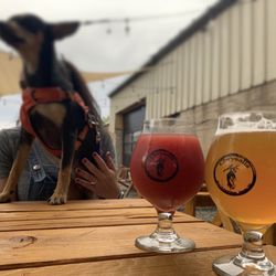 Chrysalis Barrel Aged Beer - Farmhouse Saison and Cherry sour