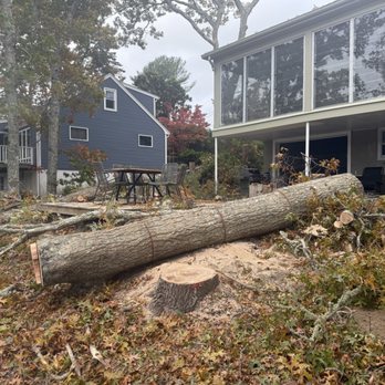 Ed's Landscaping & Tree service - Tree 2 ft from house removed expertly - Tree Services Near Me - Teaticket, Massachusetts