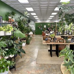 Deeply Rooted - Left side