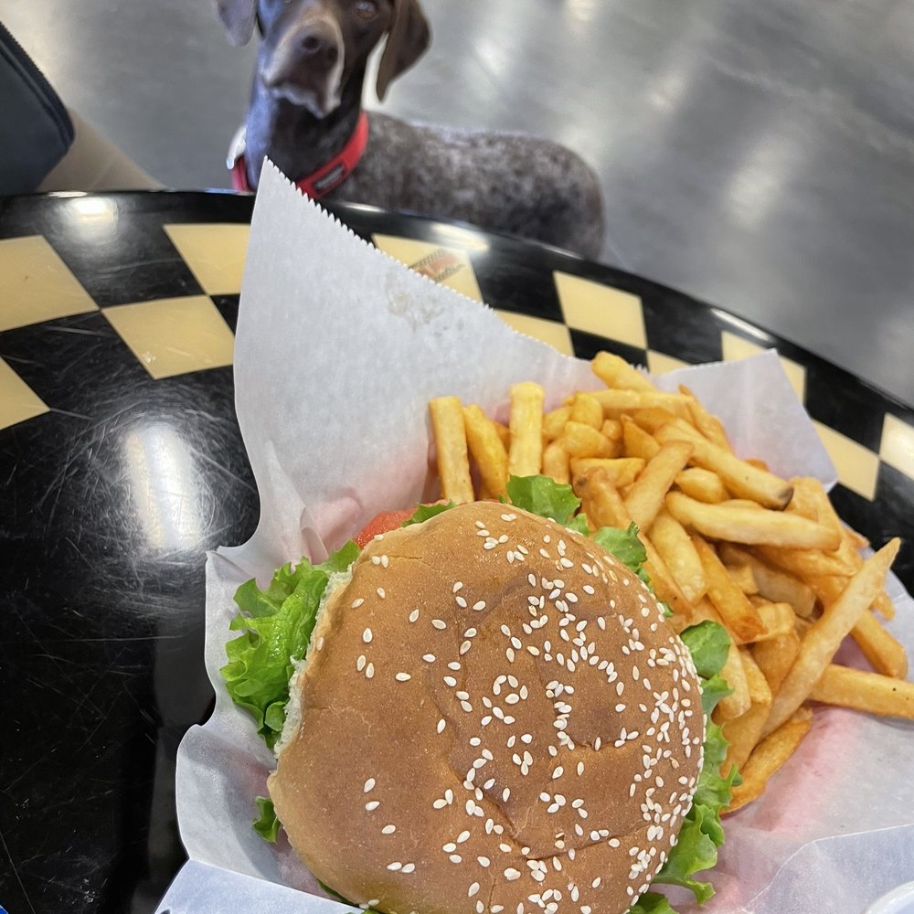 DJ's Diner - My dog checking out my loaded chicken sandwich - American Near Me - Monroe, North Carolina DJ's Diner - My dog checking out my loaded chicken sandwich - American Near Me - Monroe, North Carolina