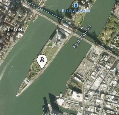 Manhattan Healing Forest by null